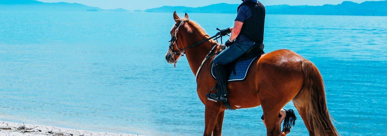 Horse Riding 1960x690