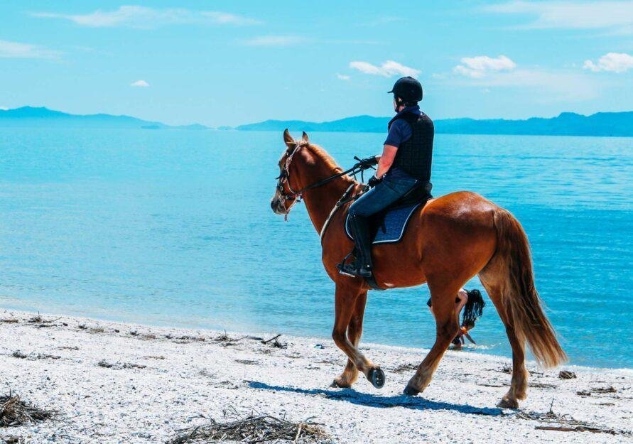 Horse Riding 891x625